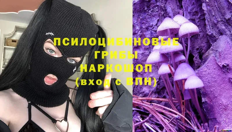 гидра как войти  Болгар  Псилоцибиновые грибы Magic Shrooms 